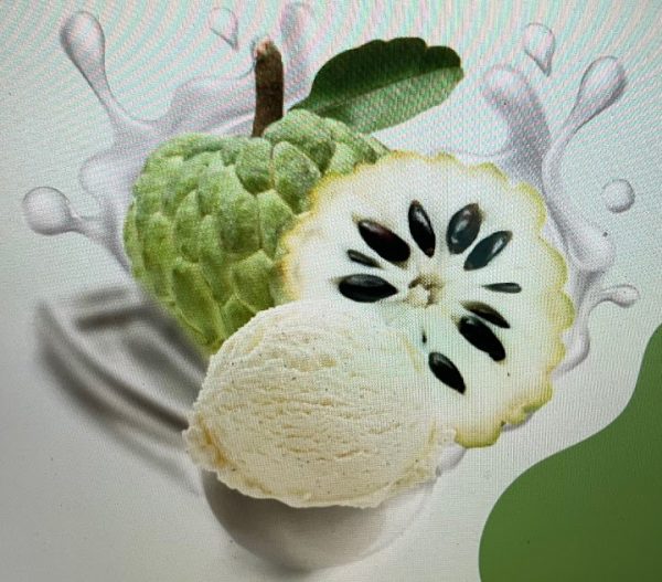 NATURAL scoops