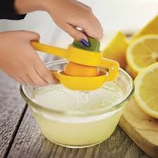 Lemon Twister